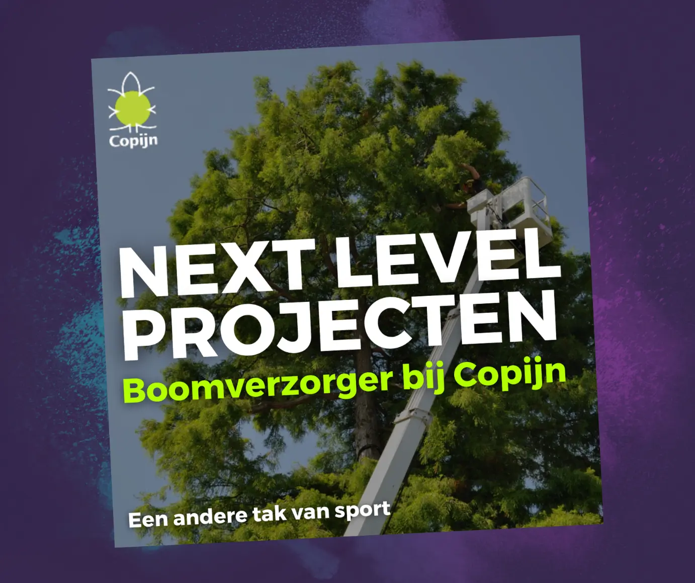 Copijn vind boomverzorgers met weyou recruitment marketing